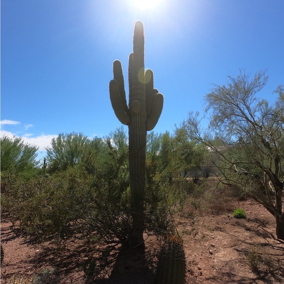 Meet your Posher - Picture 8 of 8